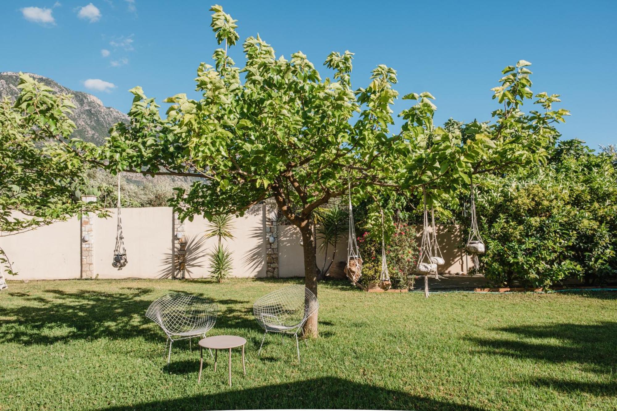 Anamnesis. Feel The Mediterranean. Kalamata Exterior photo